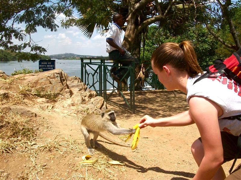 Tug-a-war with a monkey