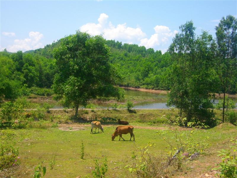 Photo from Vietnam