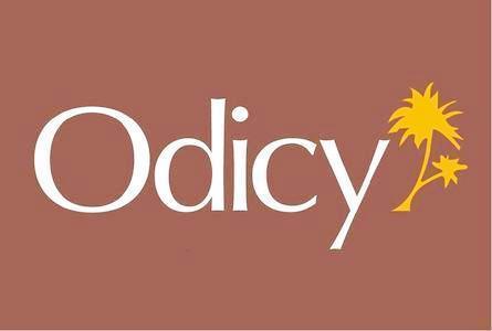 Photo by Odicy