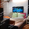 Vox Studio Videochat Bucuresti