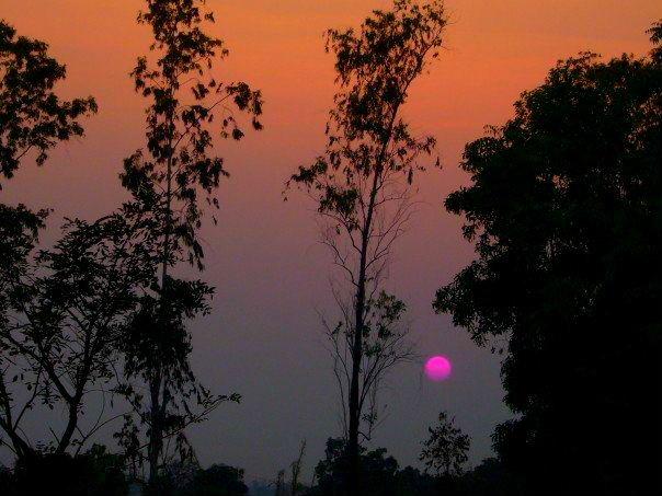 Pink Sunset