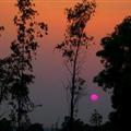 Pink Sunset