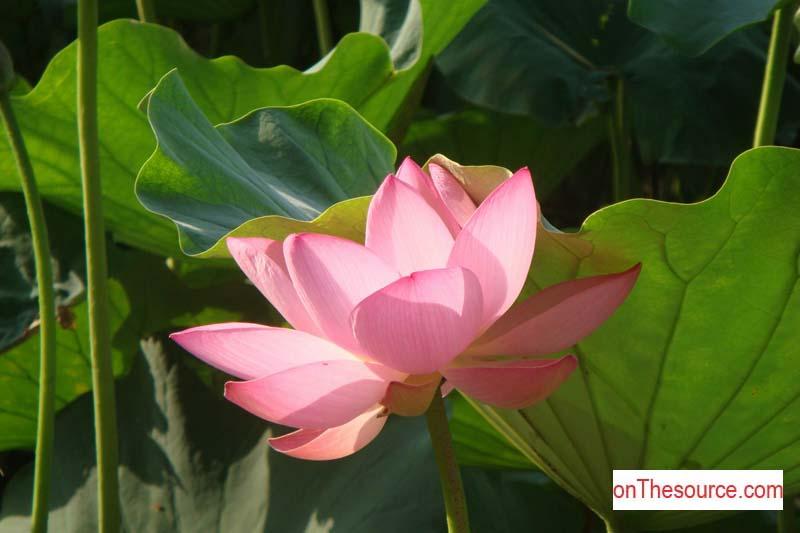 Photo by www.onThesource.com