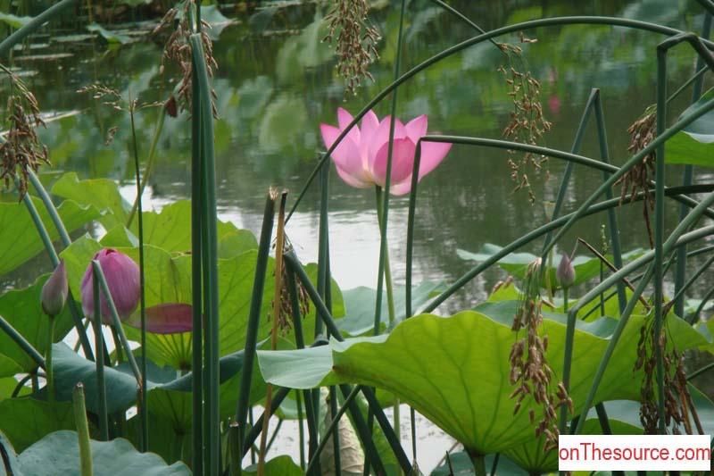 Photo by www.onThesource.com