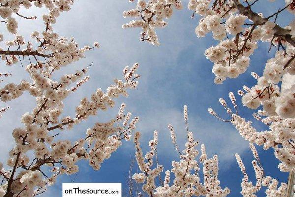 Photo by www.onThesource.com